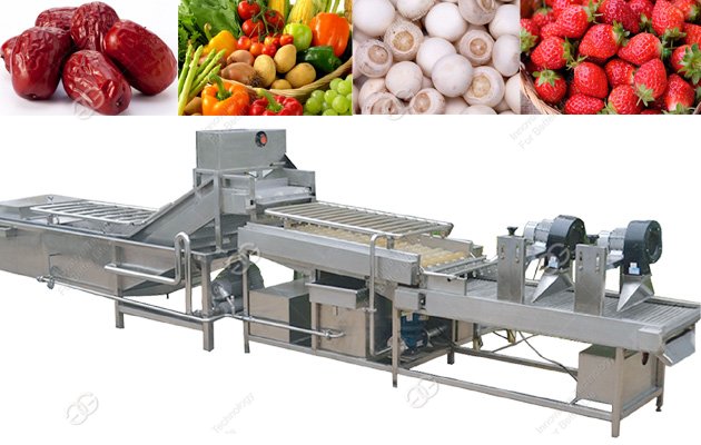 Mesin Pencuci Buah dan Sayur