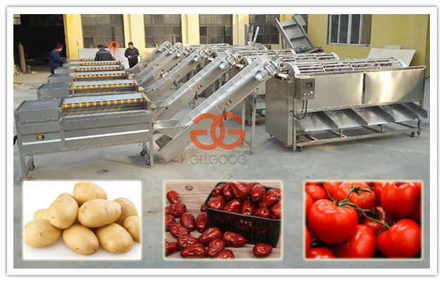 Harga Mesin Sortir Kentang Otomatis